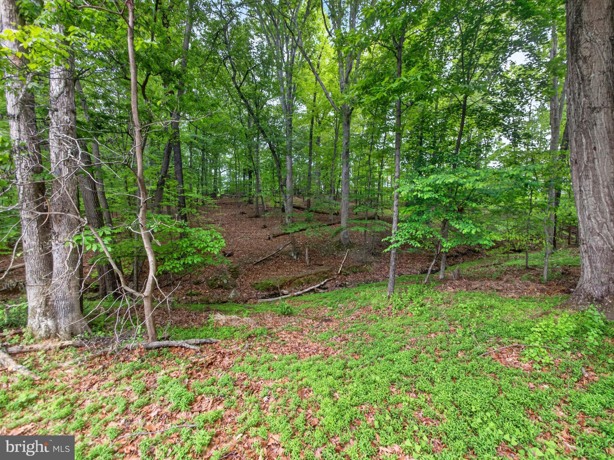 POTOMAC CHASE - Residential