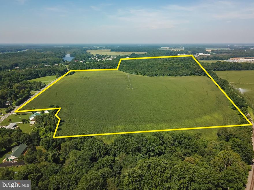 130 +/- Acres annexed into the city of Milford with R-2 (level 3) zoning. High growth and Ideal location with over 1,350 feet of road frontage on Williamsville Rd.  Property consists of two parcels and nine building lots.  Two borrow pits on property with over 3,300 feet of rail frontage. Ideal development potential with current conceptual plan for 220 SF units.