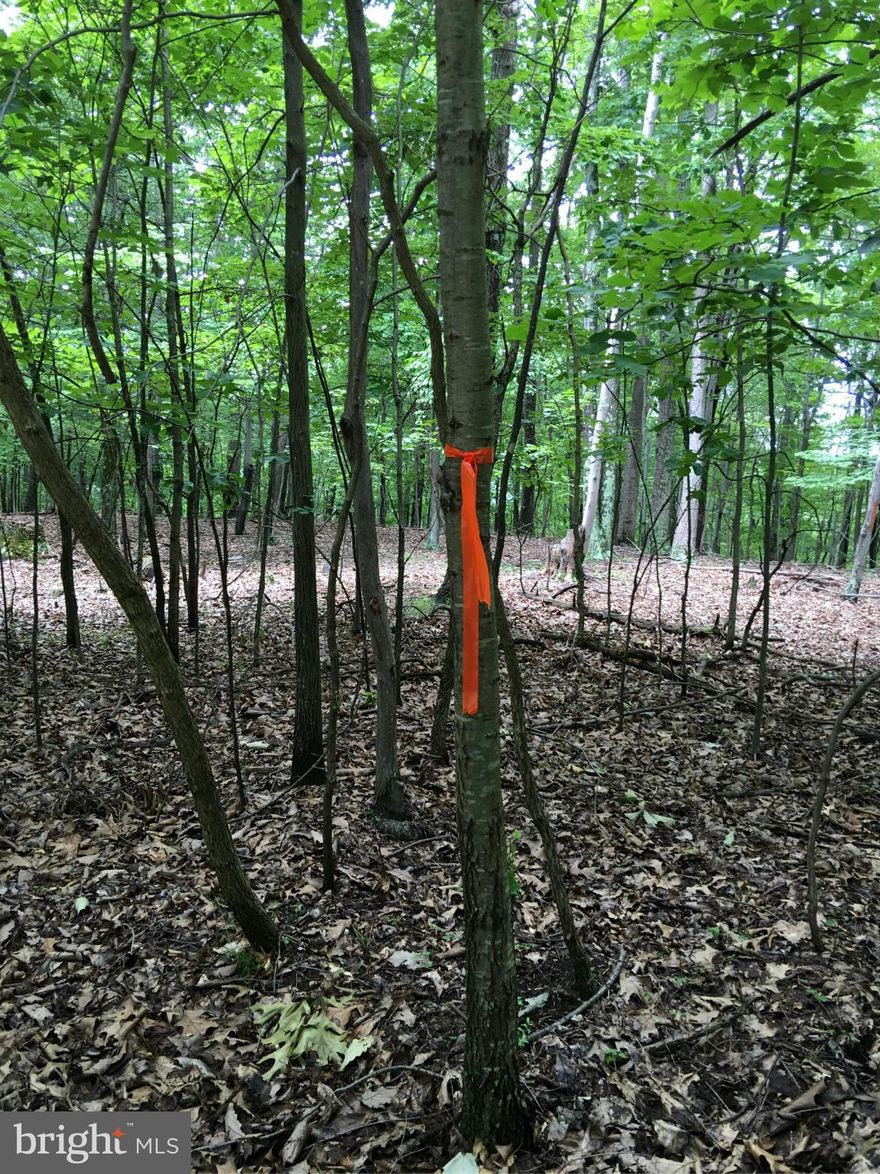 5 wooded acres in quiet subdivision.