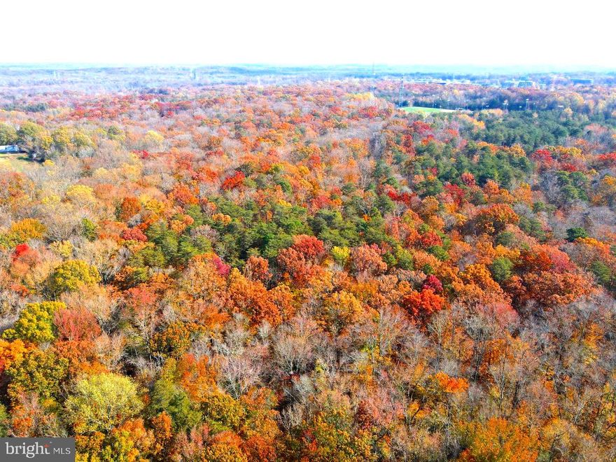 Nestled in the heart of Bowie and literally walking distance to Bowie State University, this rare 8-acre parcel offers an idyllic setting for your dream residence or a visionary development. 

Zoned for residential, this land holds the opportunity to build your dream. Envision a family farm, a luxury estate, or explore subdividing options for a boutique community. The choice is yours, with ample space for amenities like a private pool, tennis courts, or equestrian pursuits.

Located steps from Bowie State University, you're minutes away from city conveniences yet secluded enough to forget they’re there. Top-rated schools, fine dining, and shopping are a short drive away, blending suburban charm with upscale living.

Opportunities like this are rare – an unspoiled parcel that's a blank slate for your aspirations. Create your legacy, build your future, and invest in a property that offers endless possibilities.