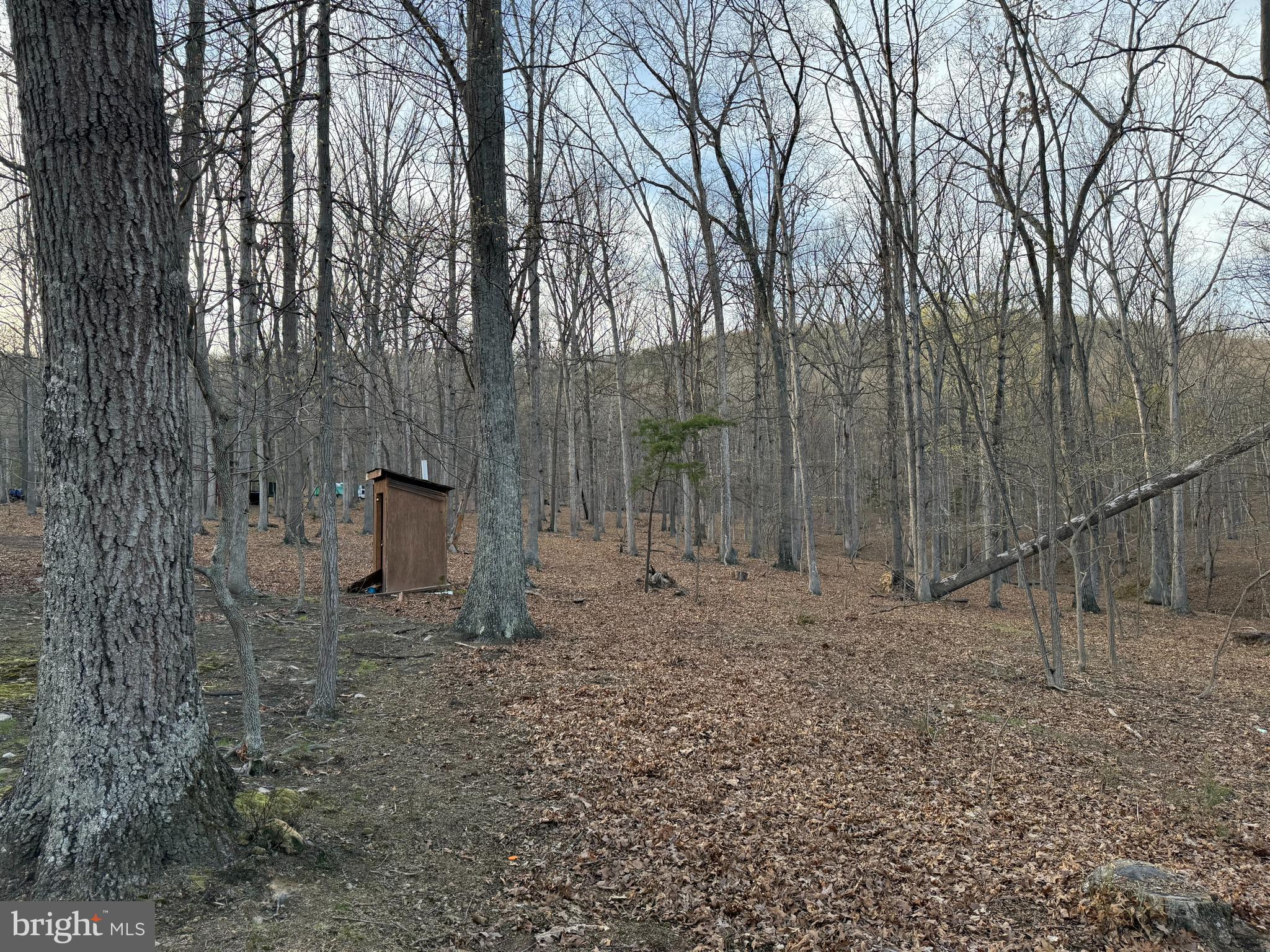 SOUTH POTOMAC FOREST - Residential