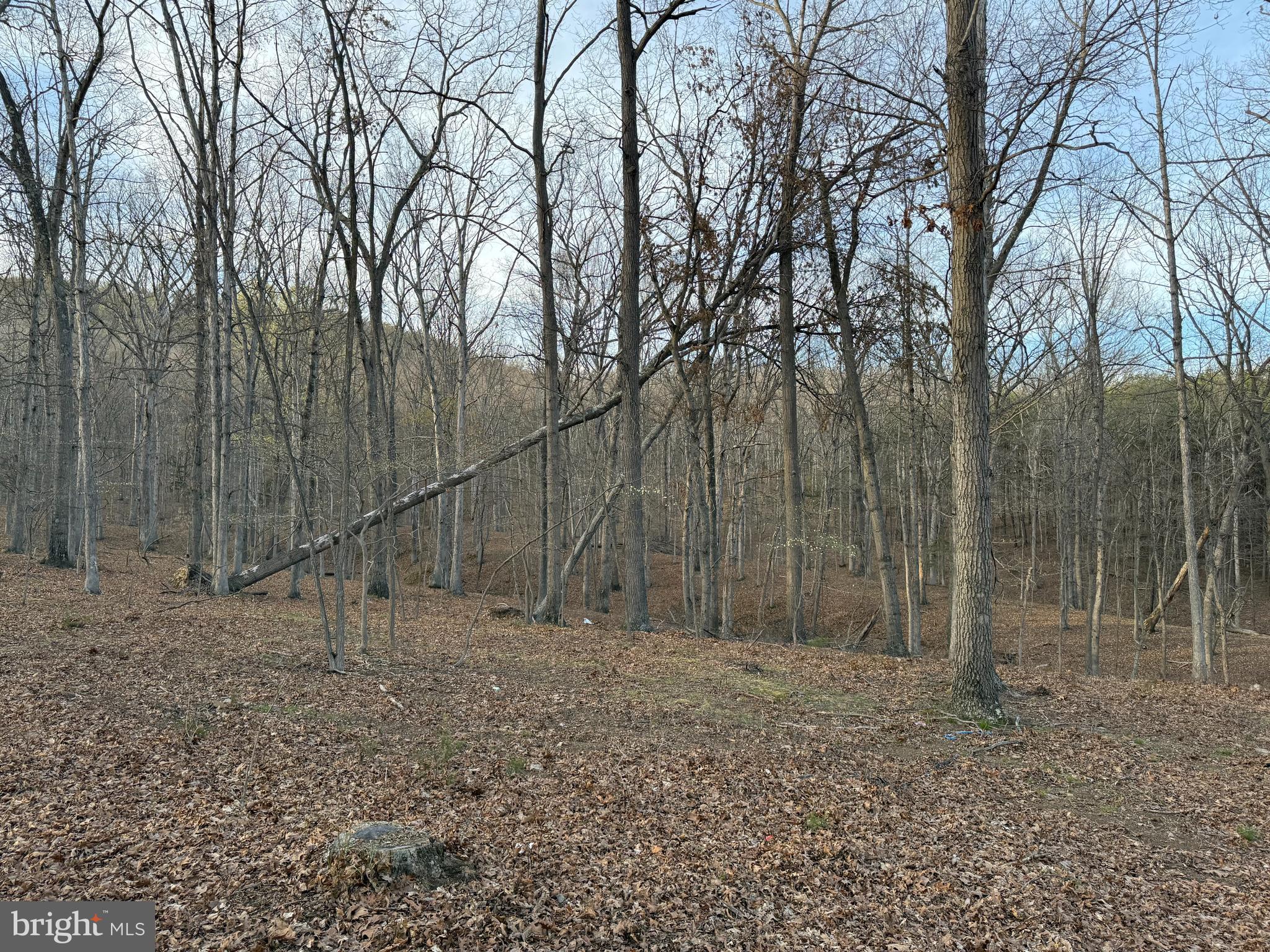 SOUTH POTOMAC FOREST - Residential