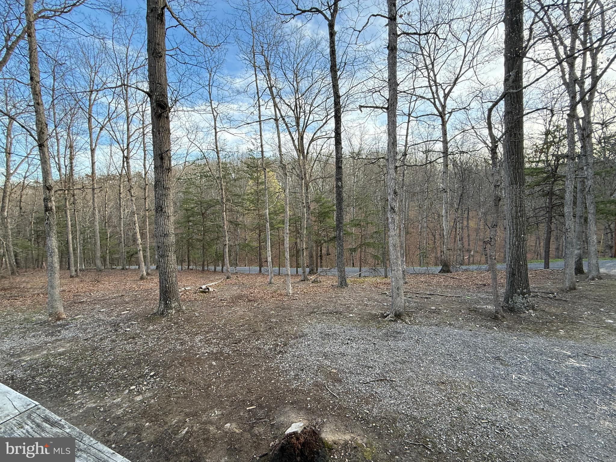 SOUTH POTOMAC FOREST - Residential