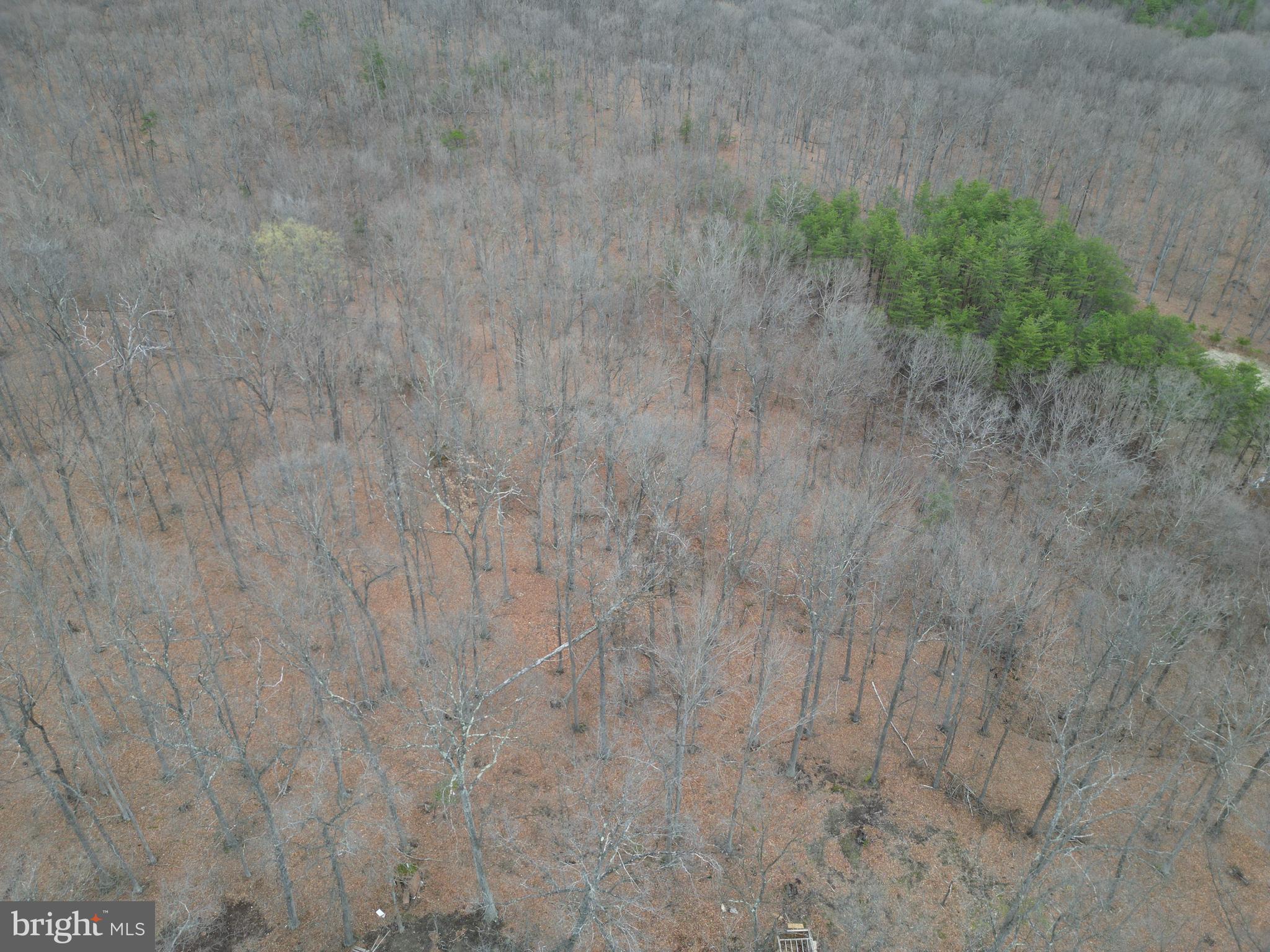 SOUTH POTOMAC FOREST - Residential