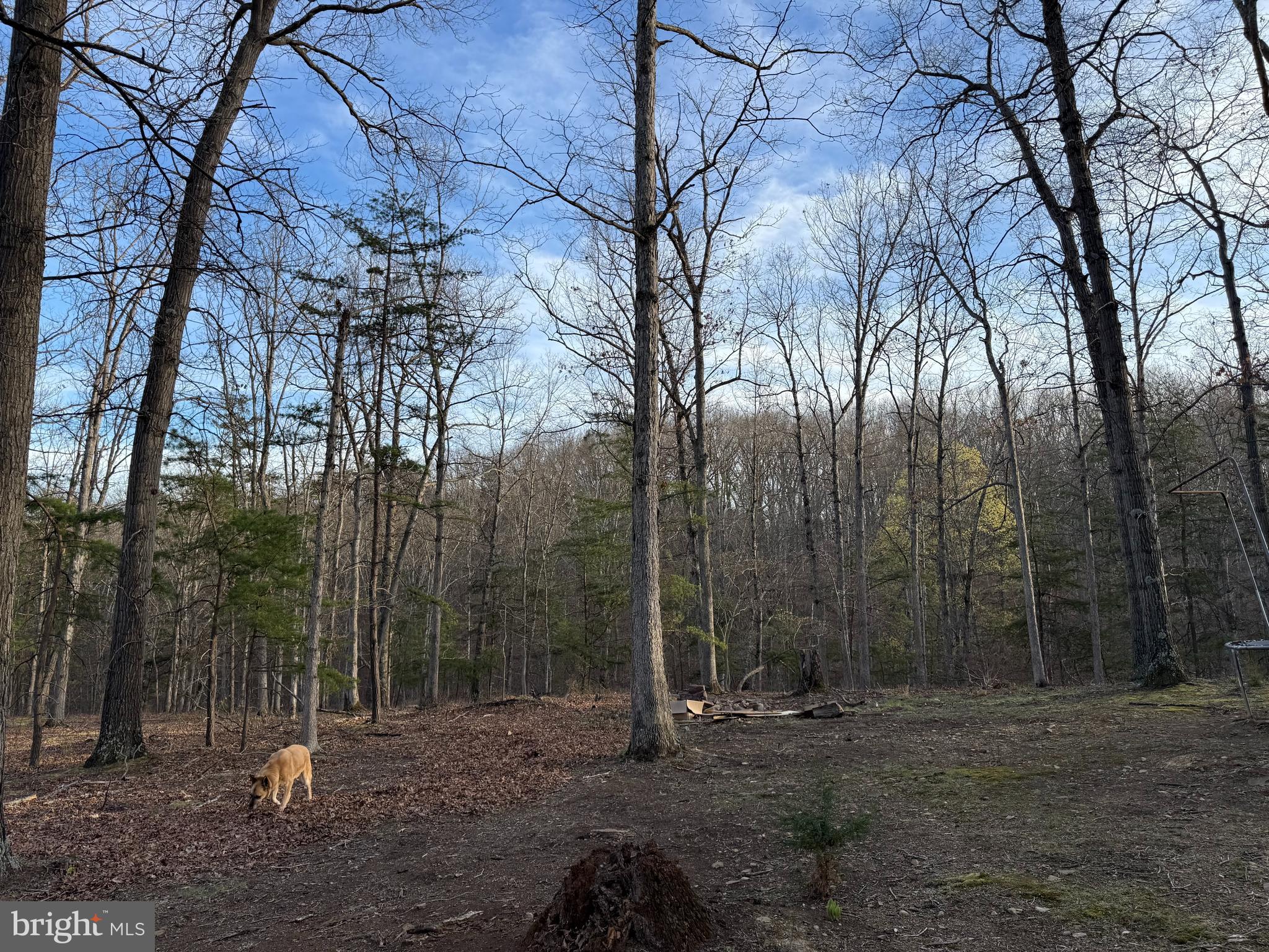 SOUTH POTOMAC FOREST - Residential
