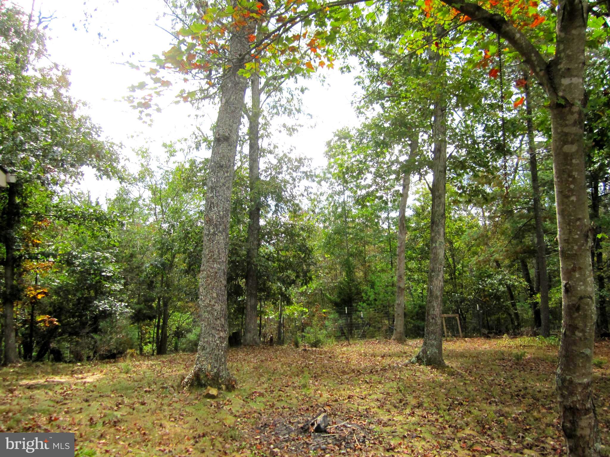 BRYCE MOUNTAIN - Residential