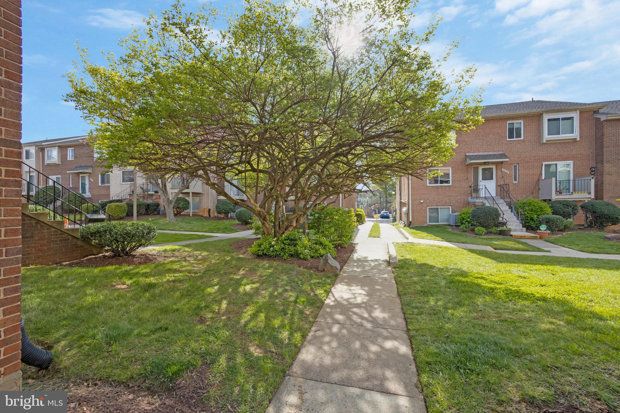 TERRACE TOWNHOUSES OF ANNANDALE - Residential