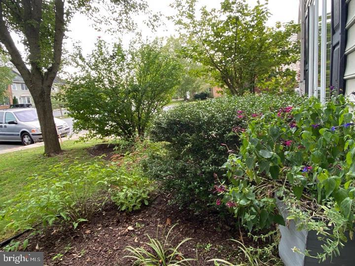 SPRING MILLS - Residential Lease