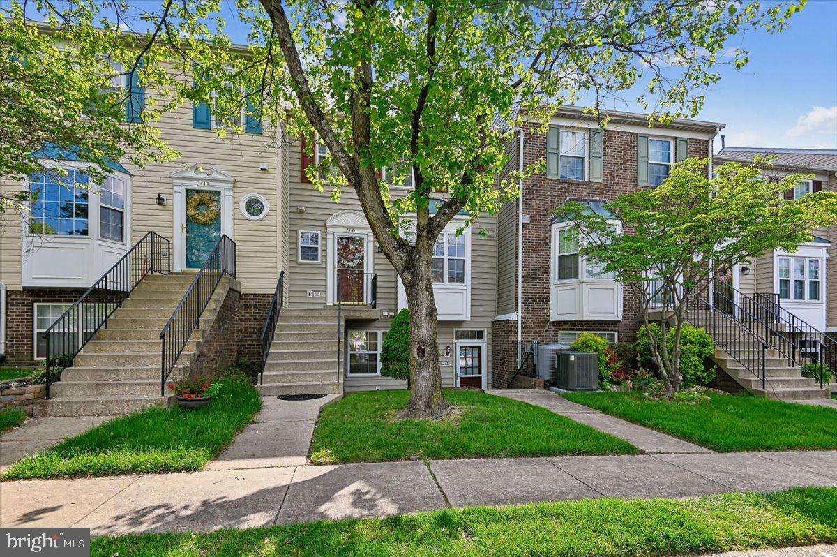STONEHAVEN MEWS - Residential