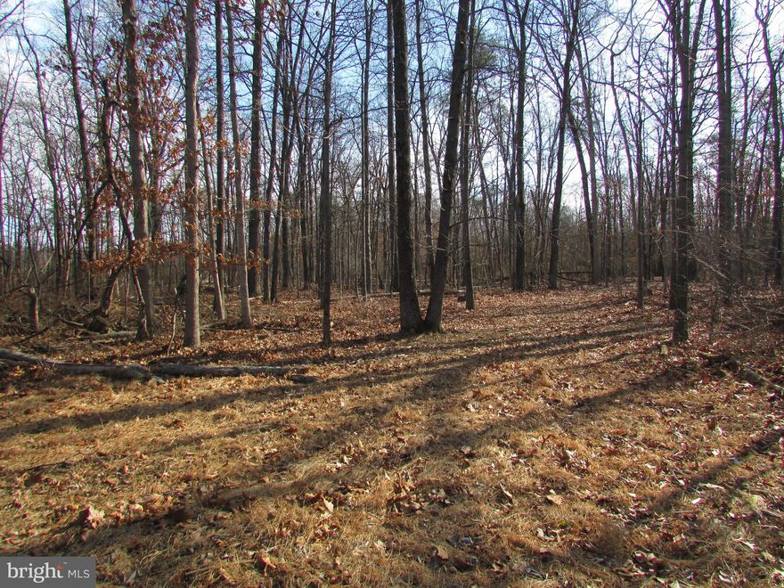 THIS PROPERTY NOW HAS MULTIPLE OFFERS. ALL OFFERS (HIGHEST & BEST) ARE DUE BY 5 PM THURSDAY, MARCH 6.  NO ESCALATION CLAUSES ACCEPTED.  Build your dream home on this 14+ acre wooded lot or sub-divide. A great site for building, recreation or hunting. Jefferson County Health Department approved for well & septic.  This lot will not last long.