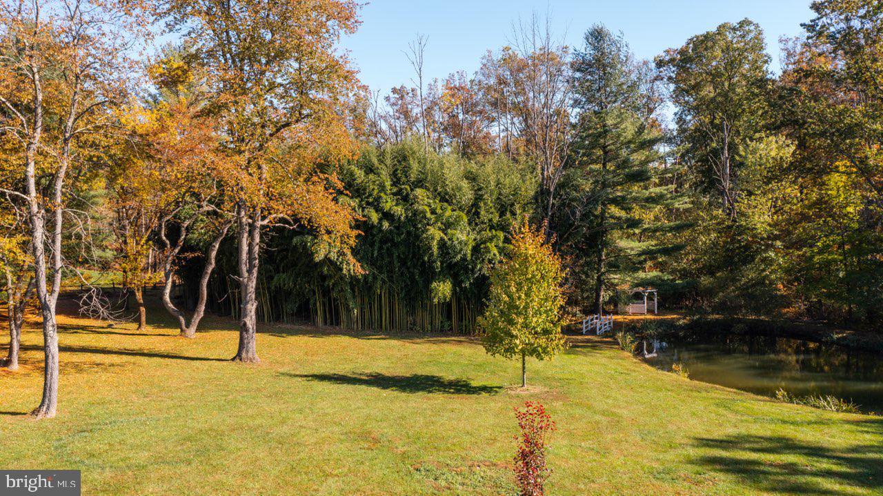 QUAIL CALL - Residential