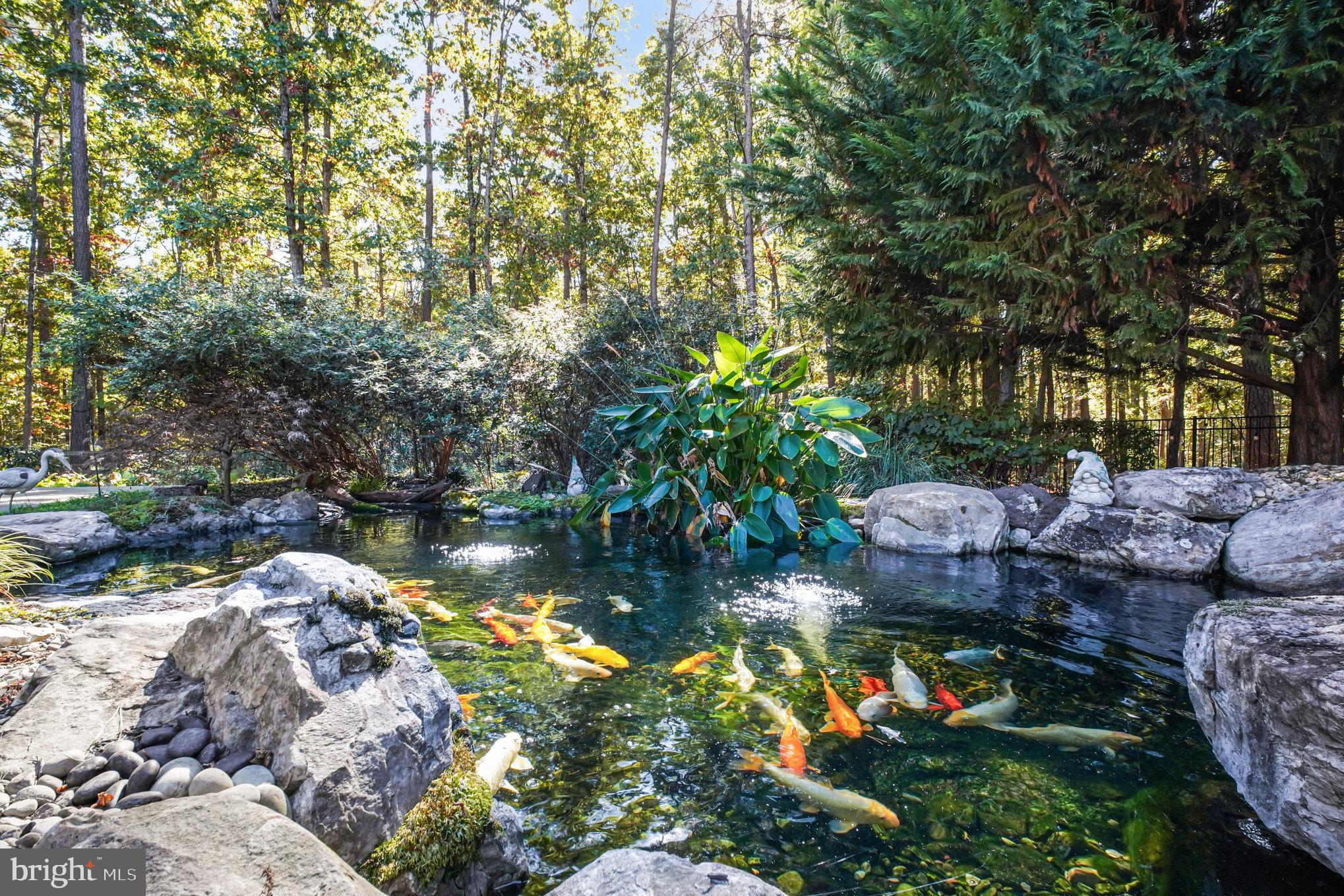 FAWN LAKE - Residential
