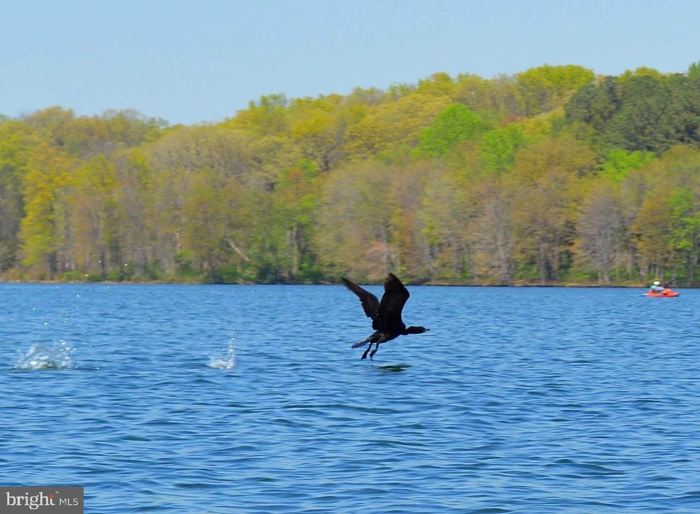CANDLEWICKE - Residential