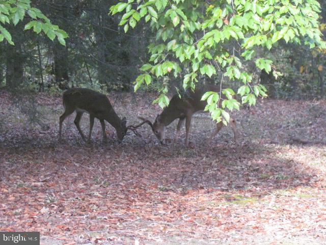 WEST WHITE PLAIN - Residential Lease