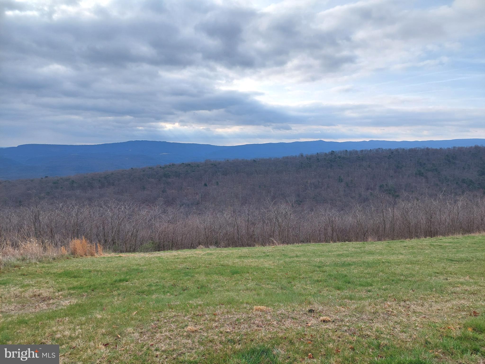 APPLE FIELDS OF HEAVEN - Land