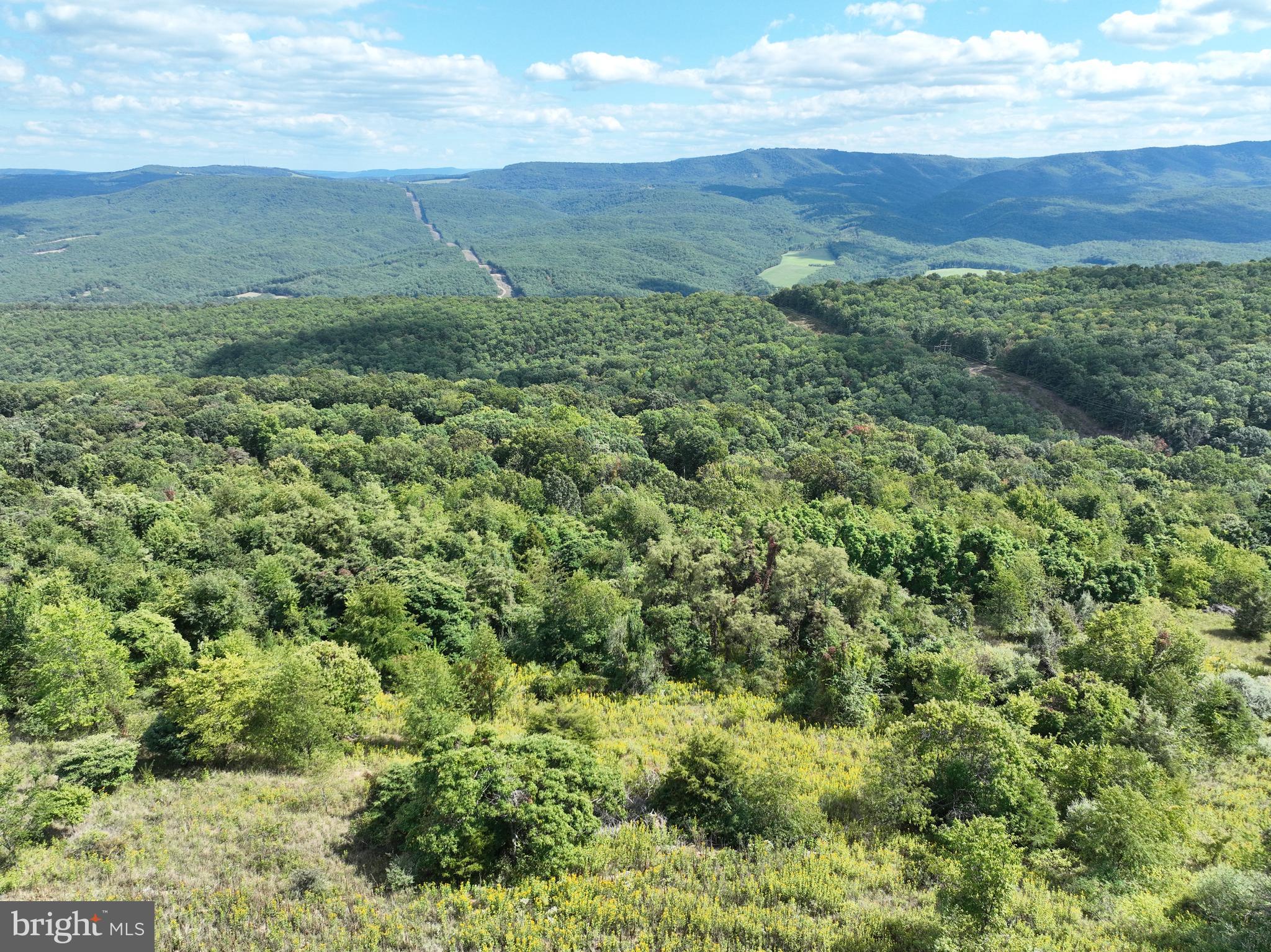 APPLE FIELDS OF HEAVEN - Land