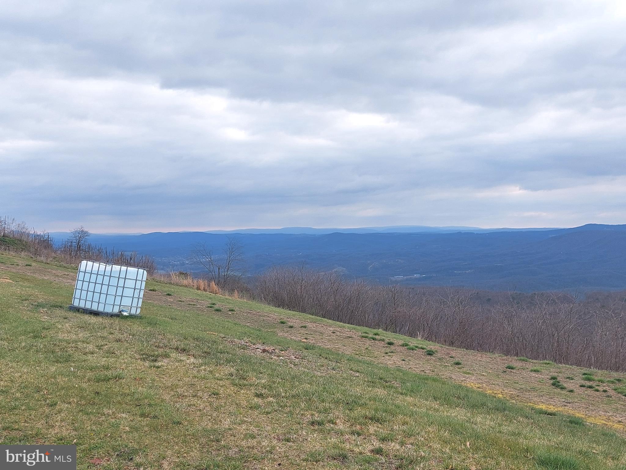 APPLE FIELDS OF HEAVEN - Land