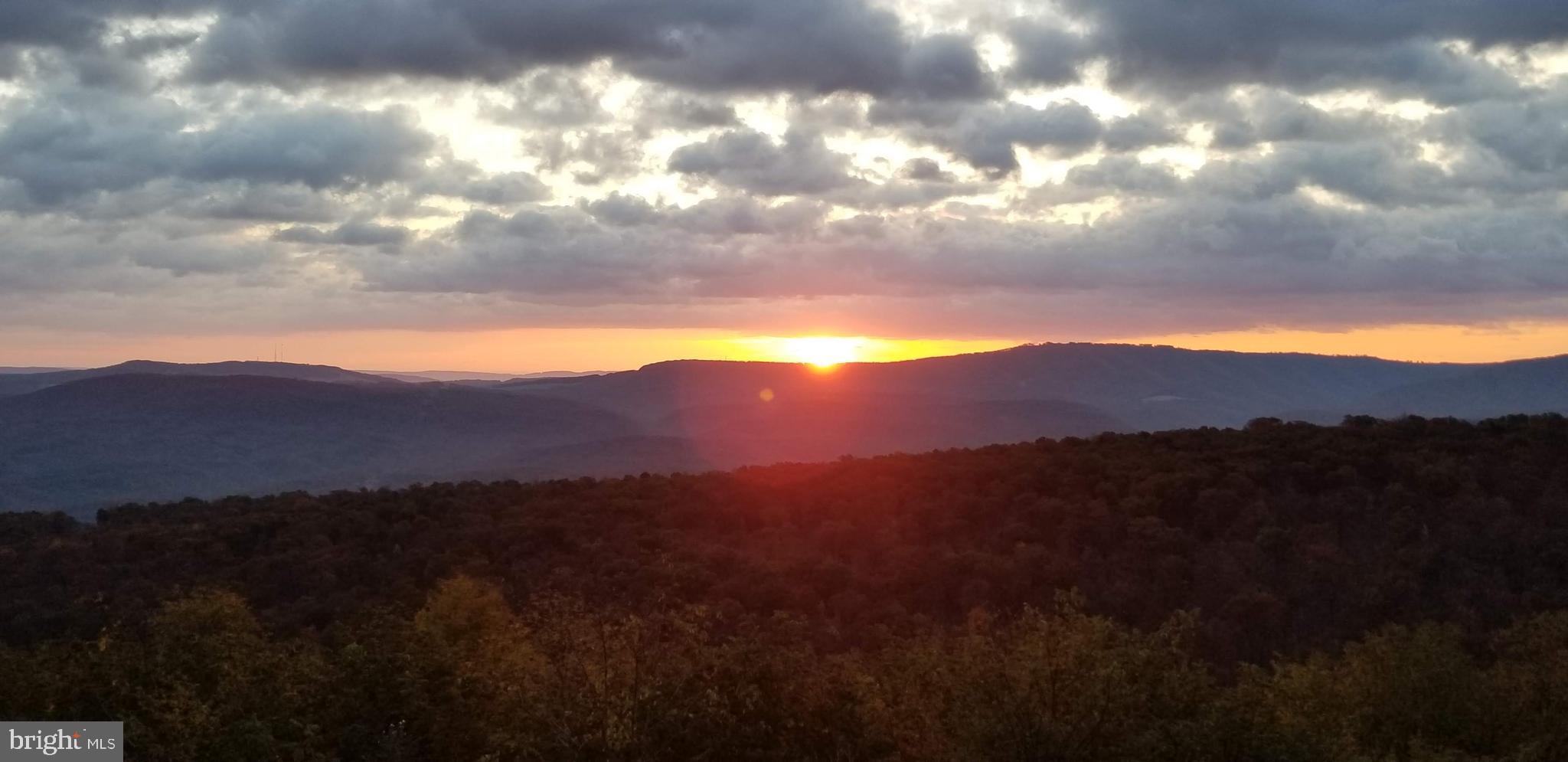 APPLE FIELDS OF HEAVEN - Land