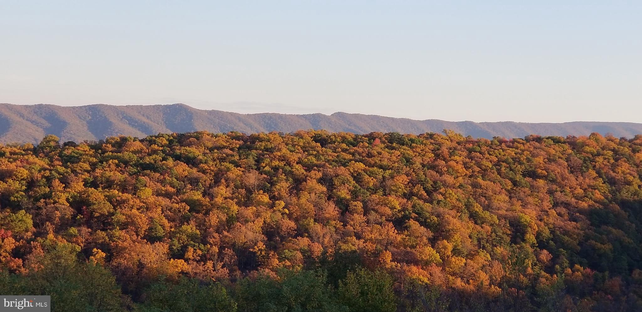 APPLE FIELDS OF HEAVEN - Land