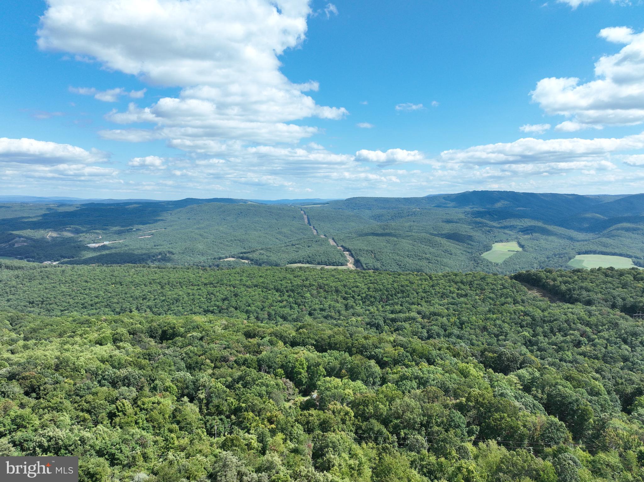 APPLE FIELDS OF HEAVEN - Land
