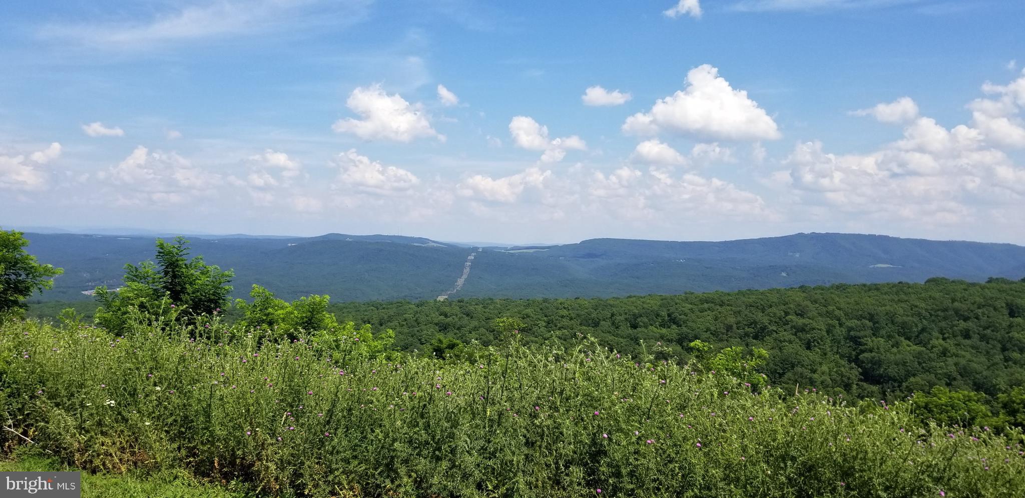 APPLE FIELDS OF HEAVEN - Land
