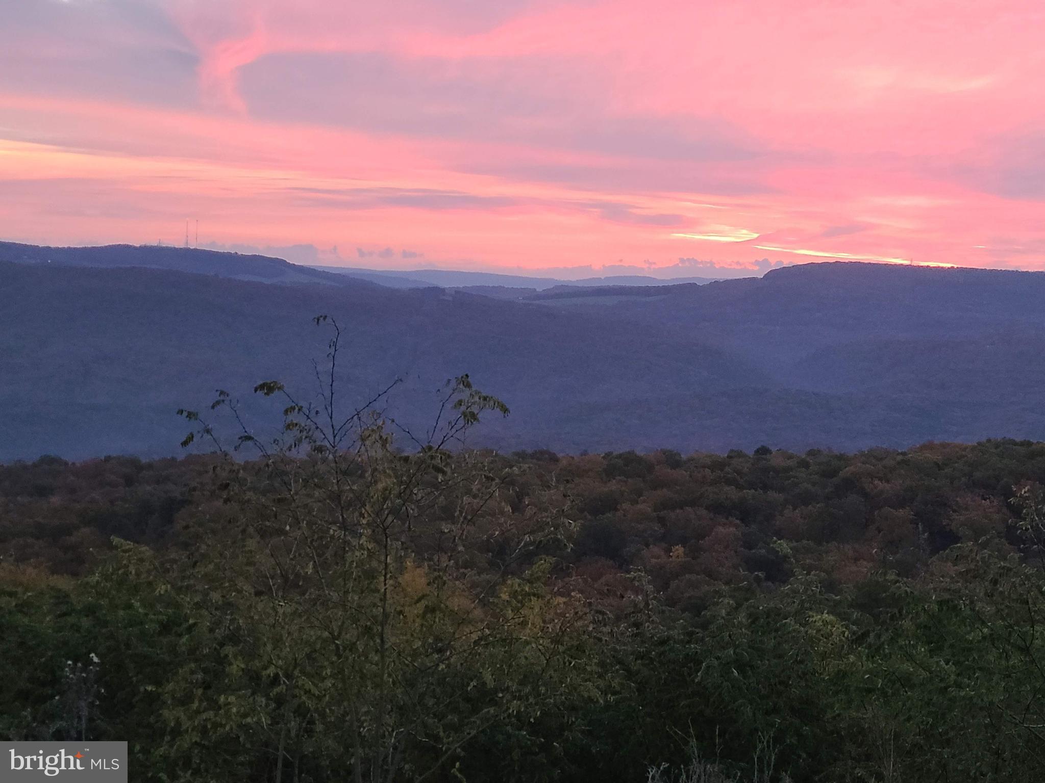 APPLE FIELDS OF HEAVEN - Land