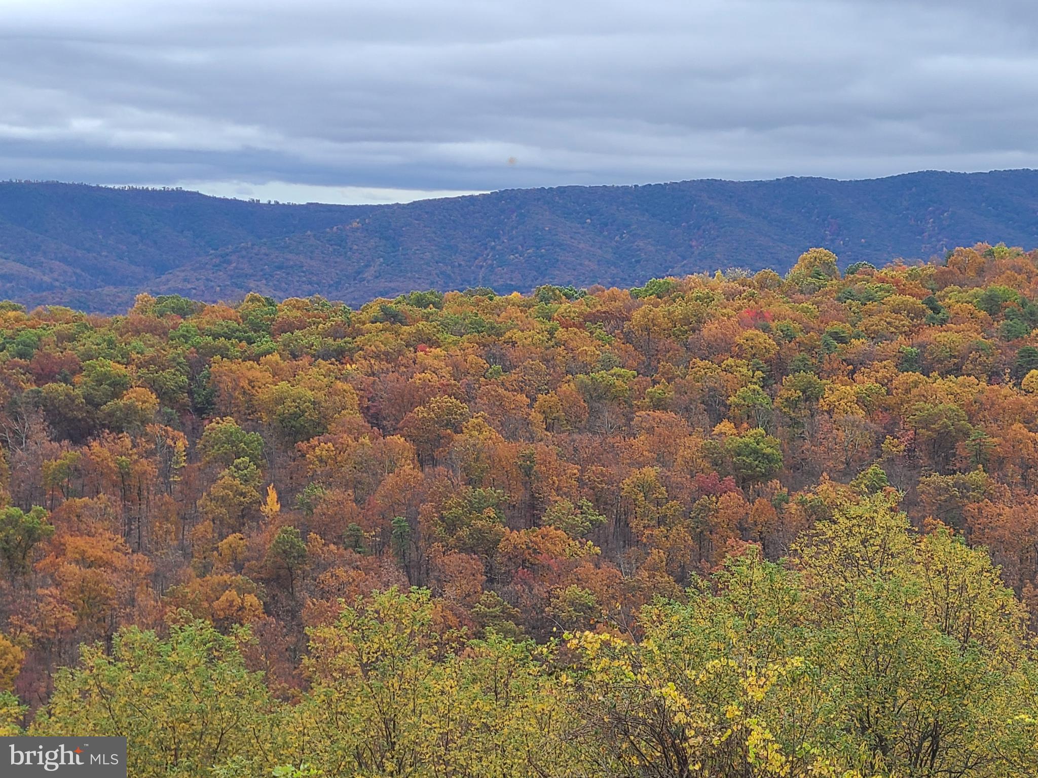 APPLE FIELDS OF HEAVEN - Land