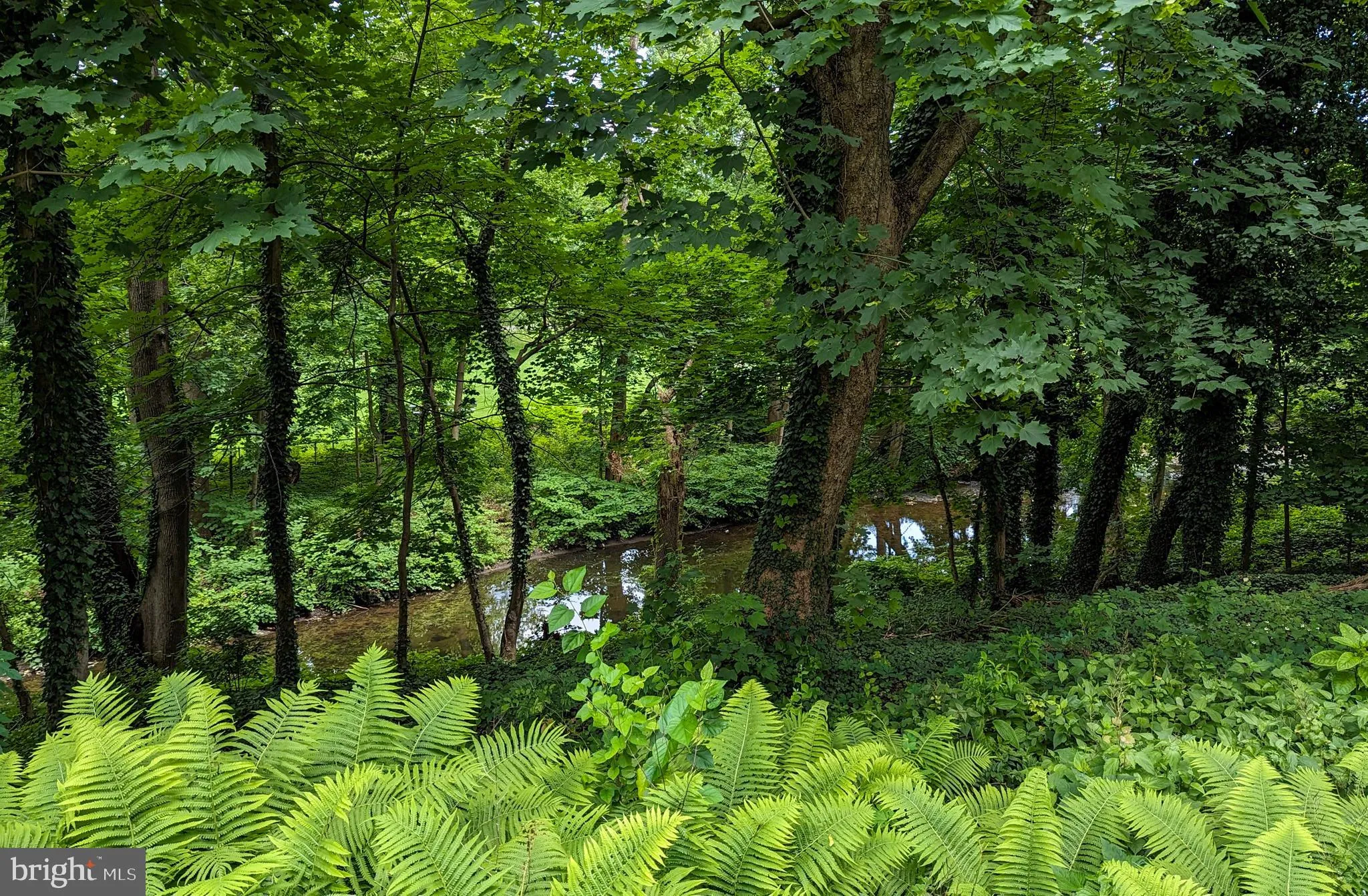 Elkins Park, Pennsylvania 19027, United States, 6 Bedrooms Bedrooms, ,4 BathroomsBathrooms,Residential,Contingent,155346