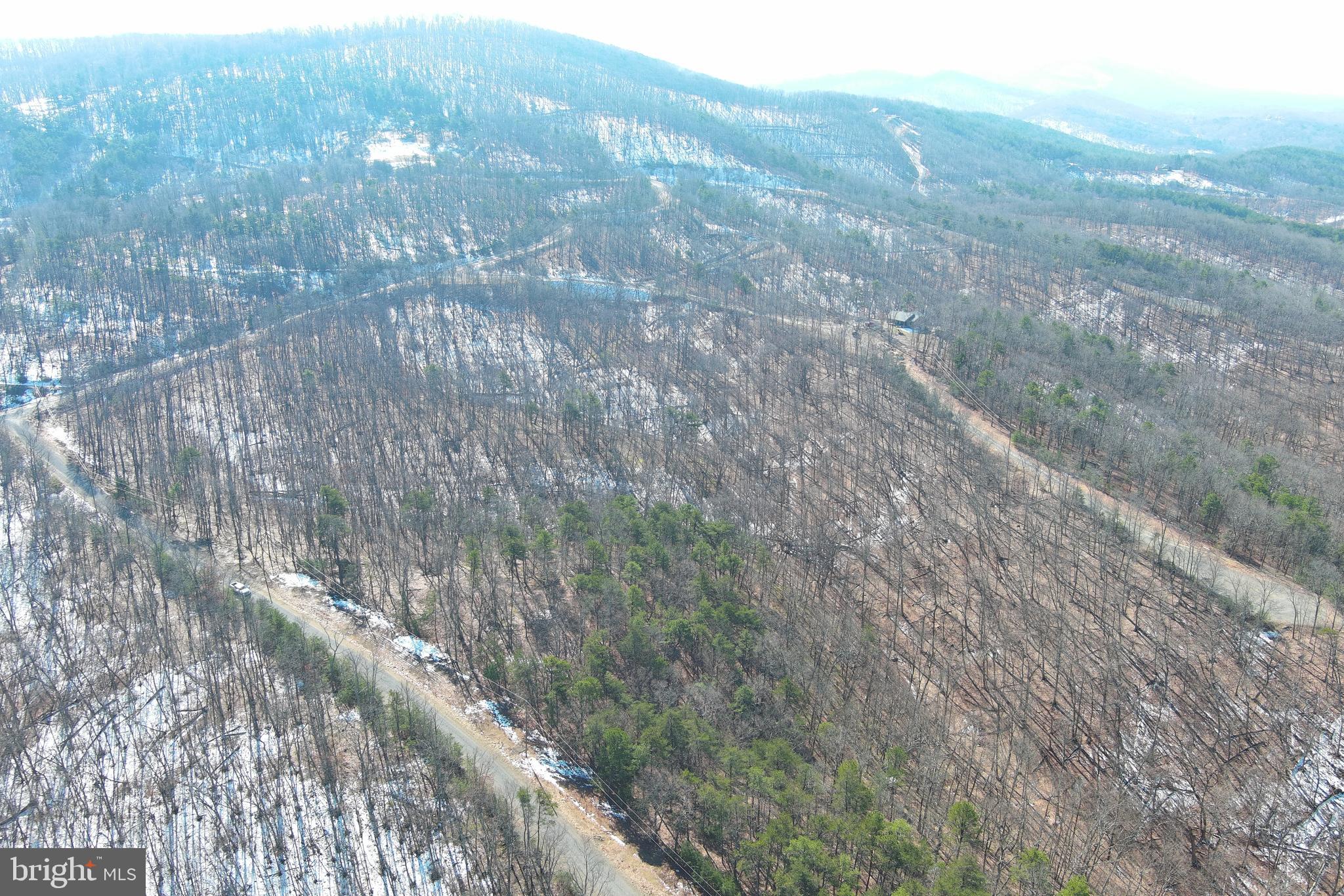 CARDINAL RIDGE ESTATES - Land