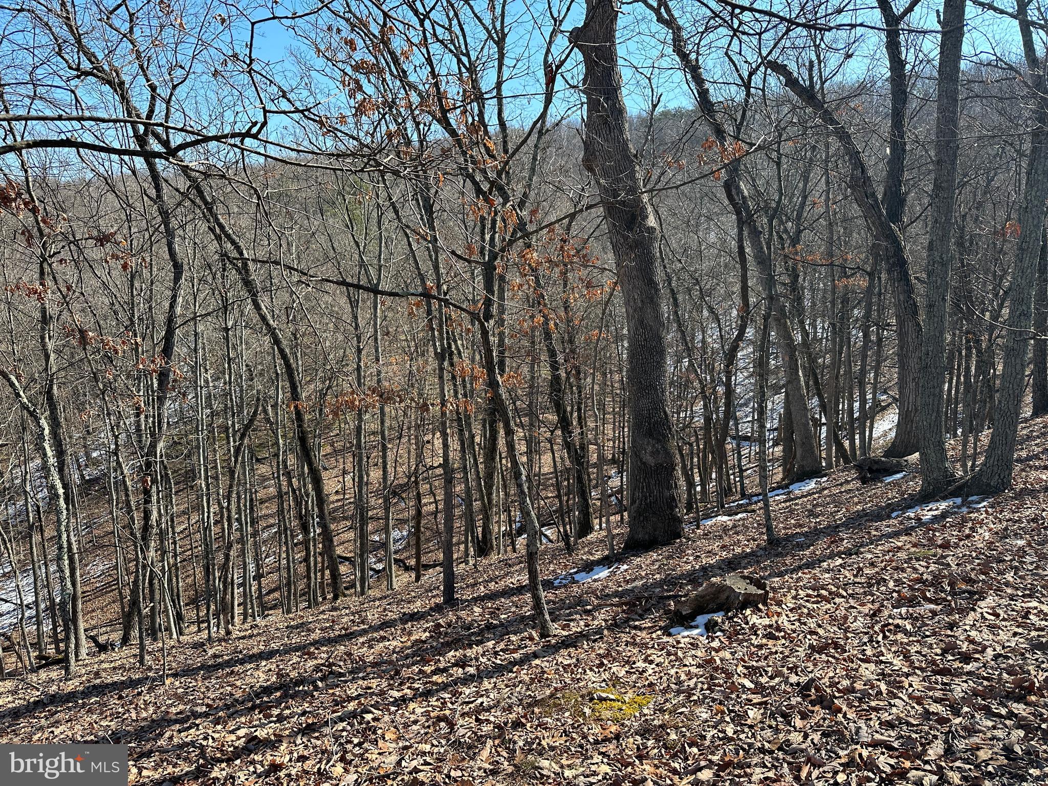 CARDINAL RIDGE ESTATES - Land