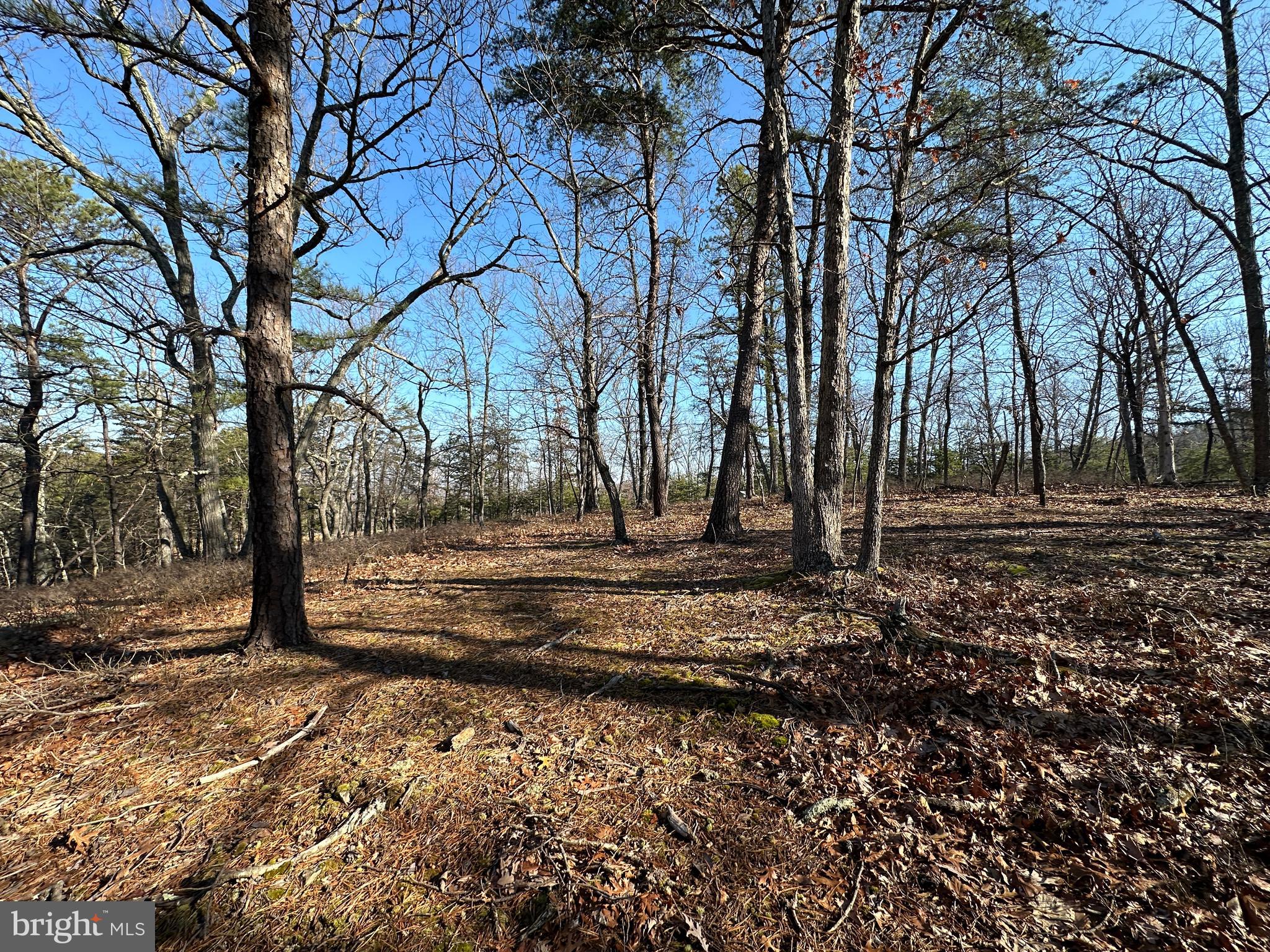 CARDINAL RIDGE ESTATES - Land