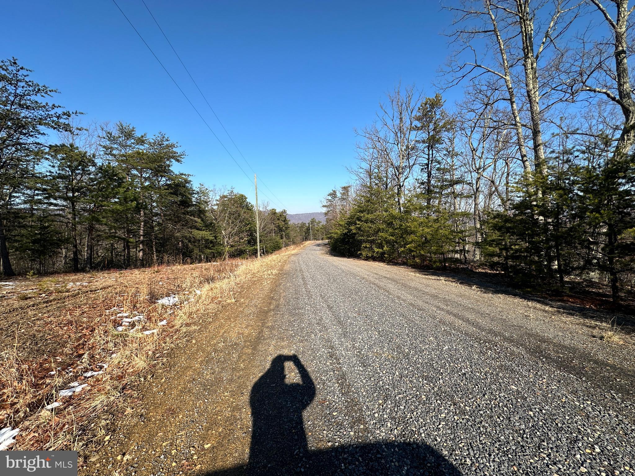 CARDINAL RIDGE ESTATES - Land