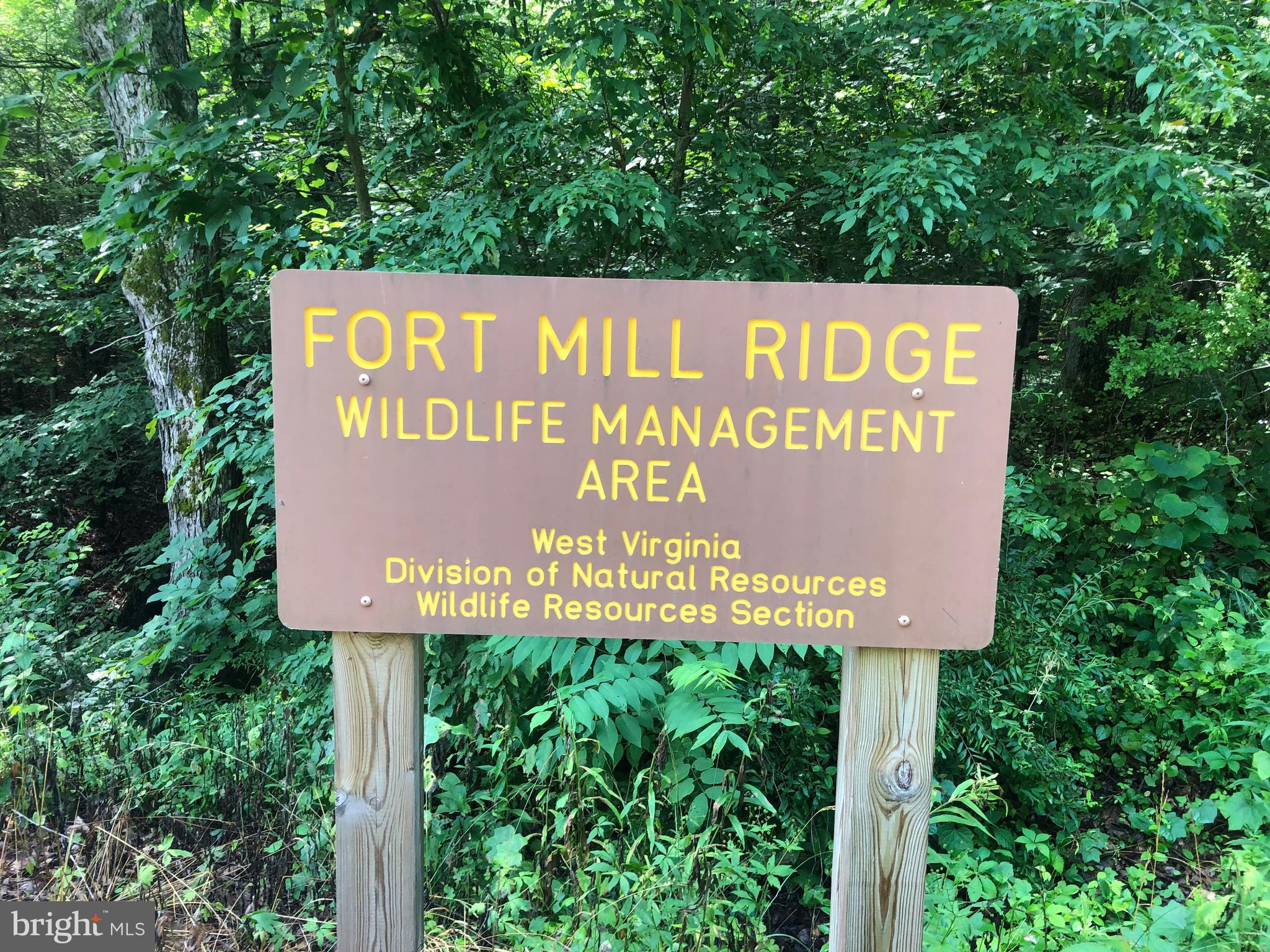 CARDINAL RIDGE ESTATES - Land