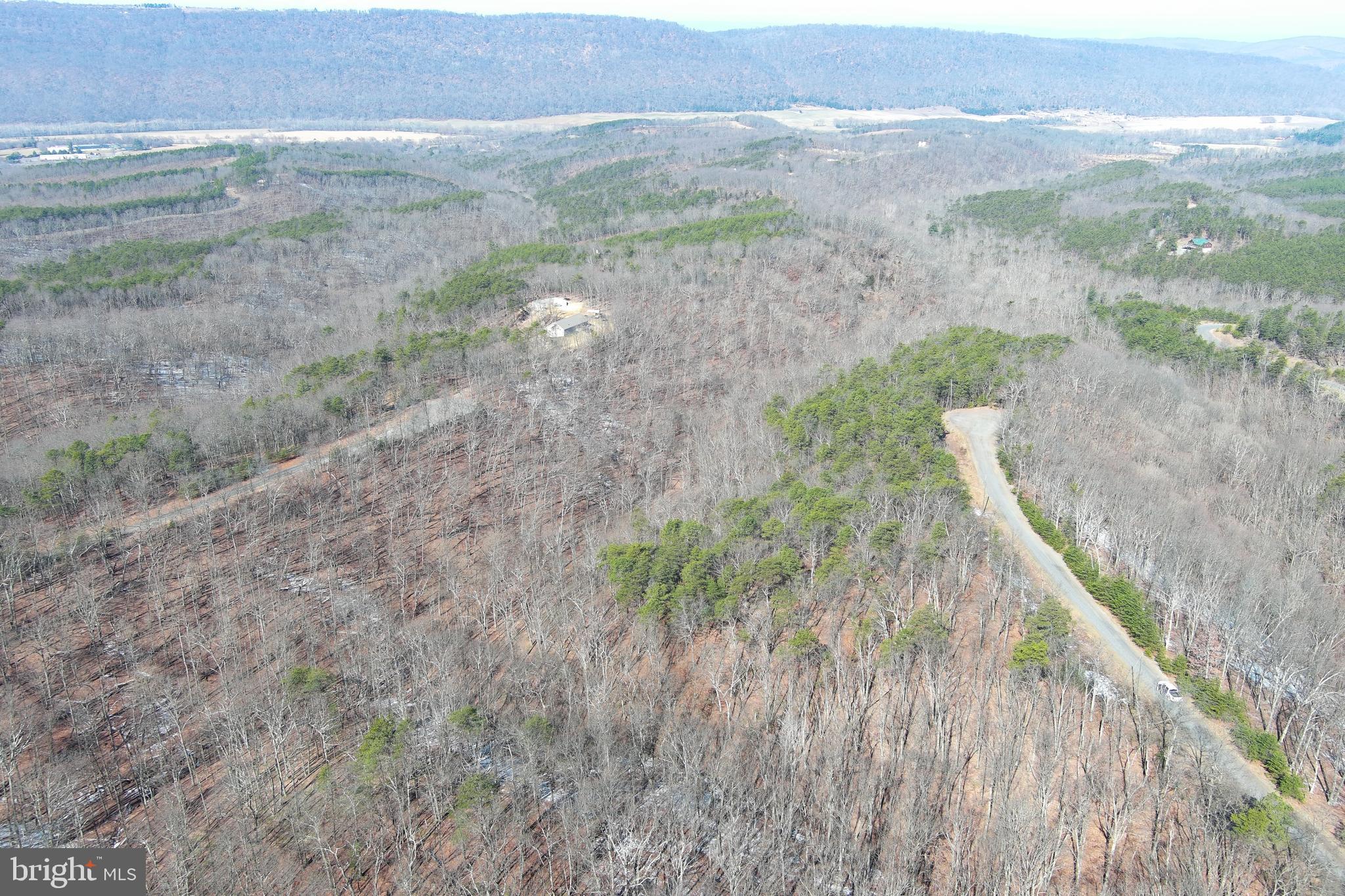 CARDINAL RIDGE ESTATES - Land