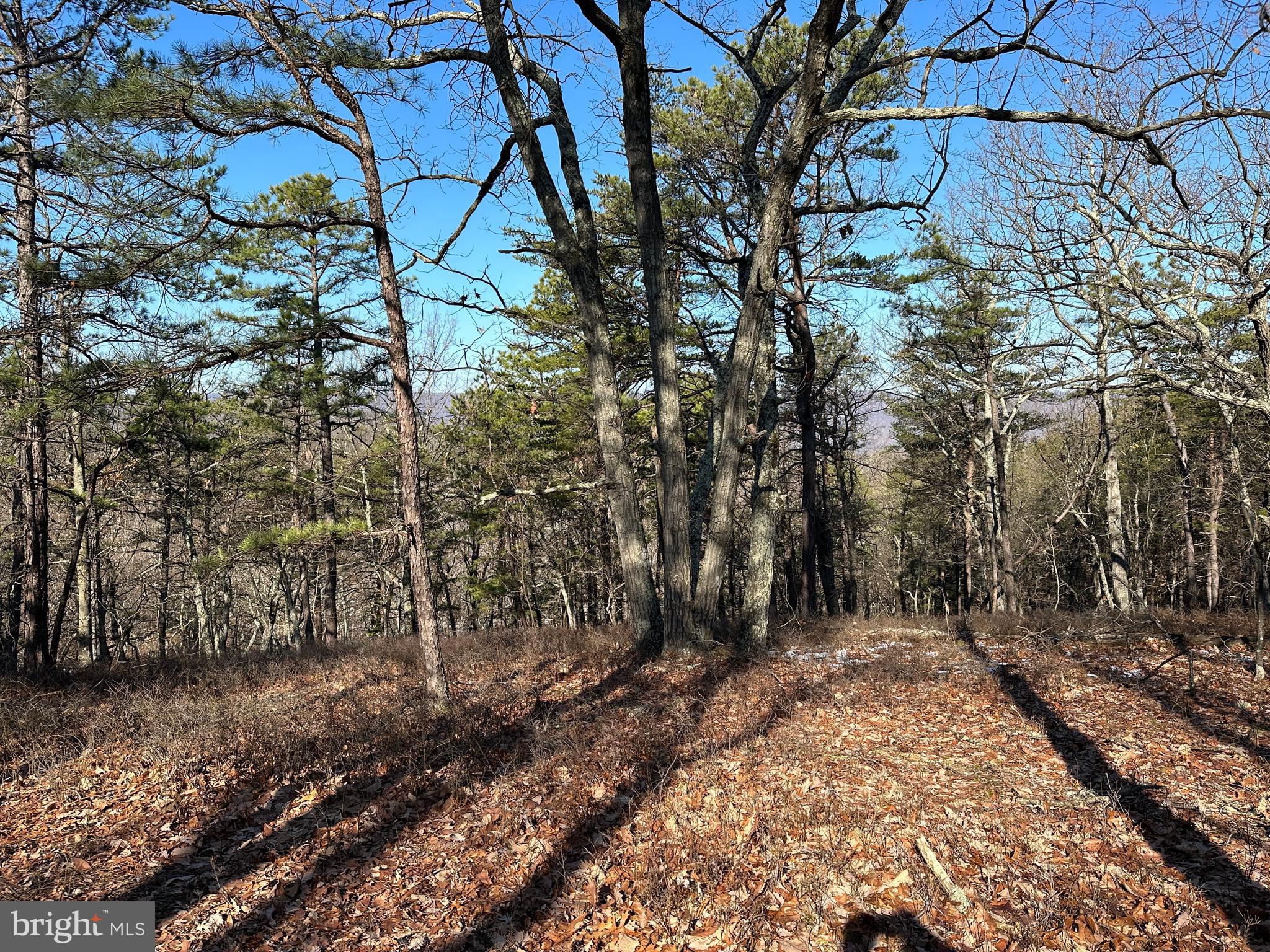 CARDINAL RIDGE ESTATES - Land