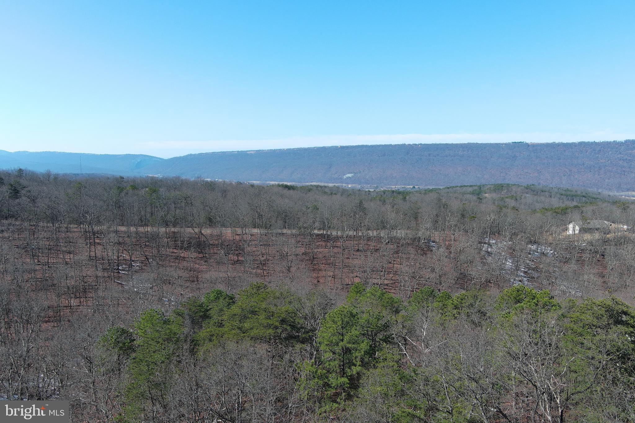 CARDINAL RIDGE ESTATES - Land