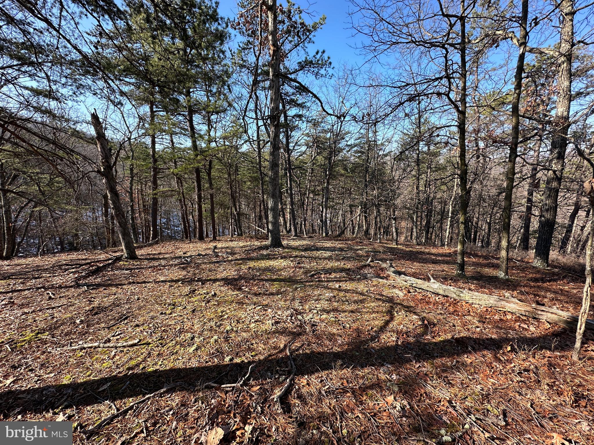 CARDINAL RIDGE ESTATES - Land