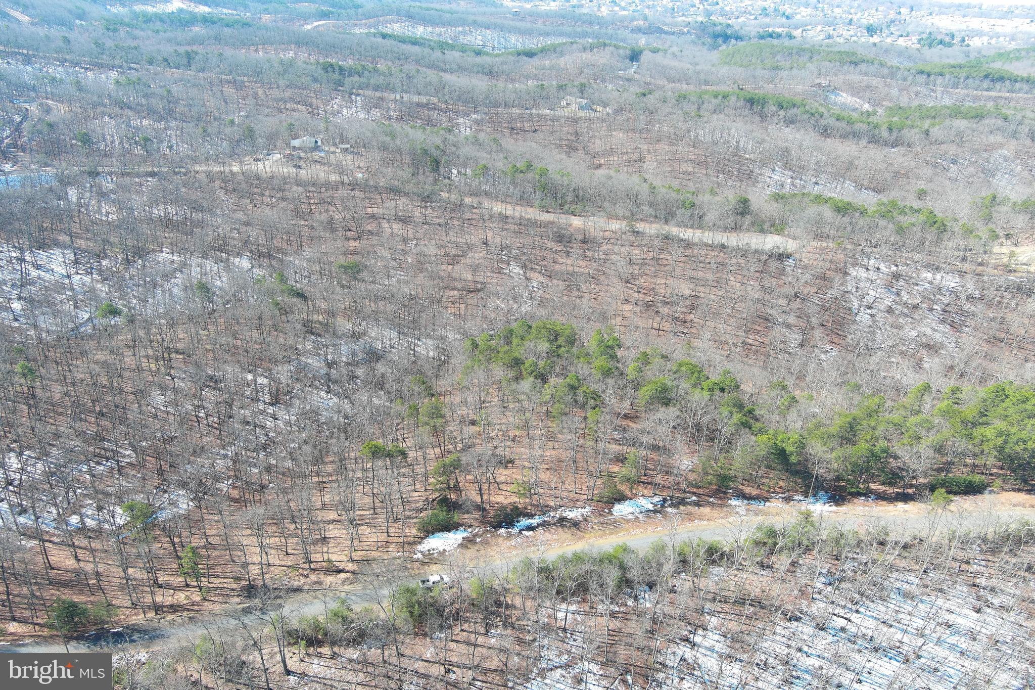 CARDINAL RIDGE ESTATES - Land