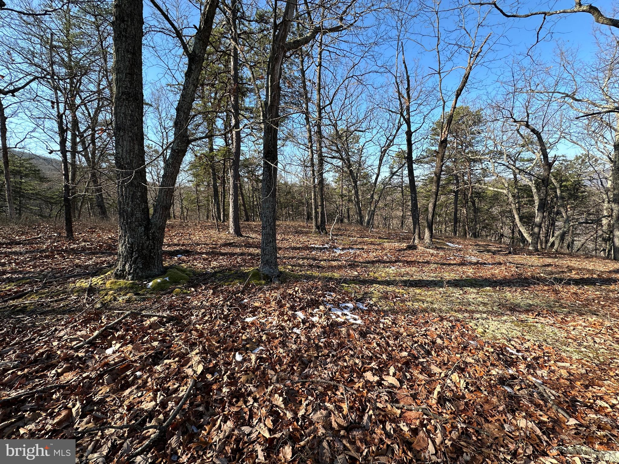 CARDINAL RIDGE ESTATES - Land