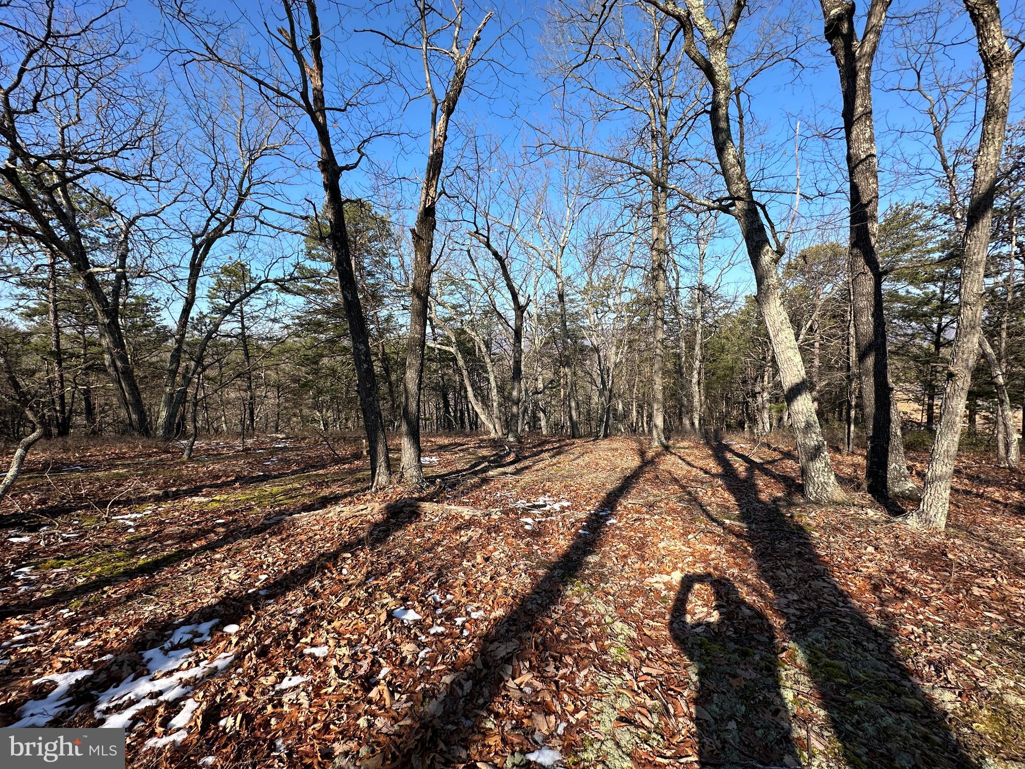 CARDINAL RIDGE ESTATES - Land