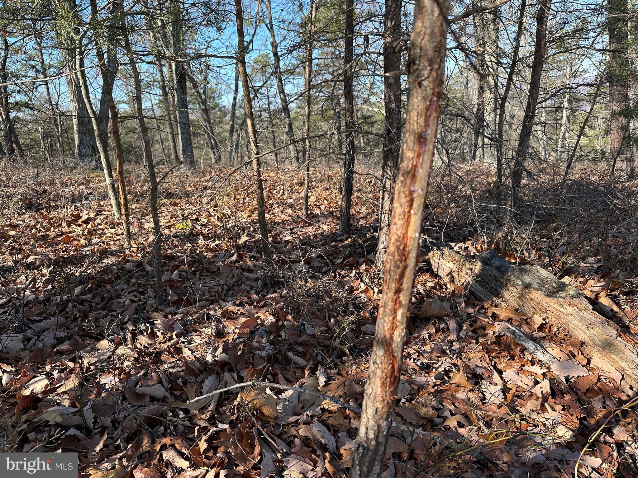 CARDINAL RIDGE ESTATES - Land