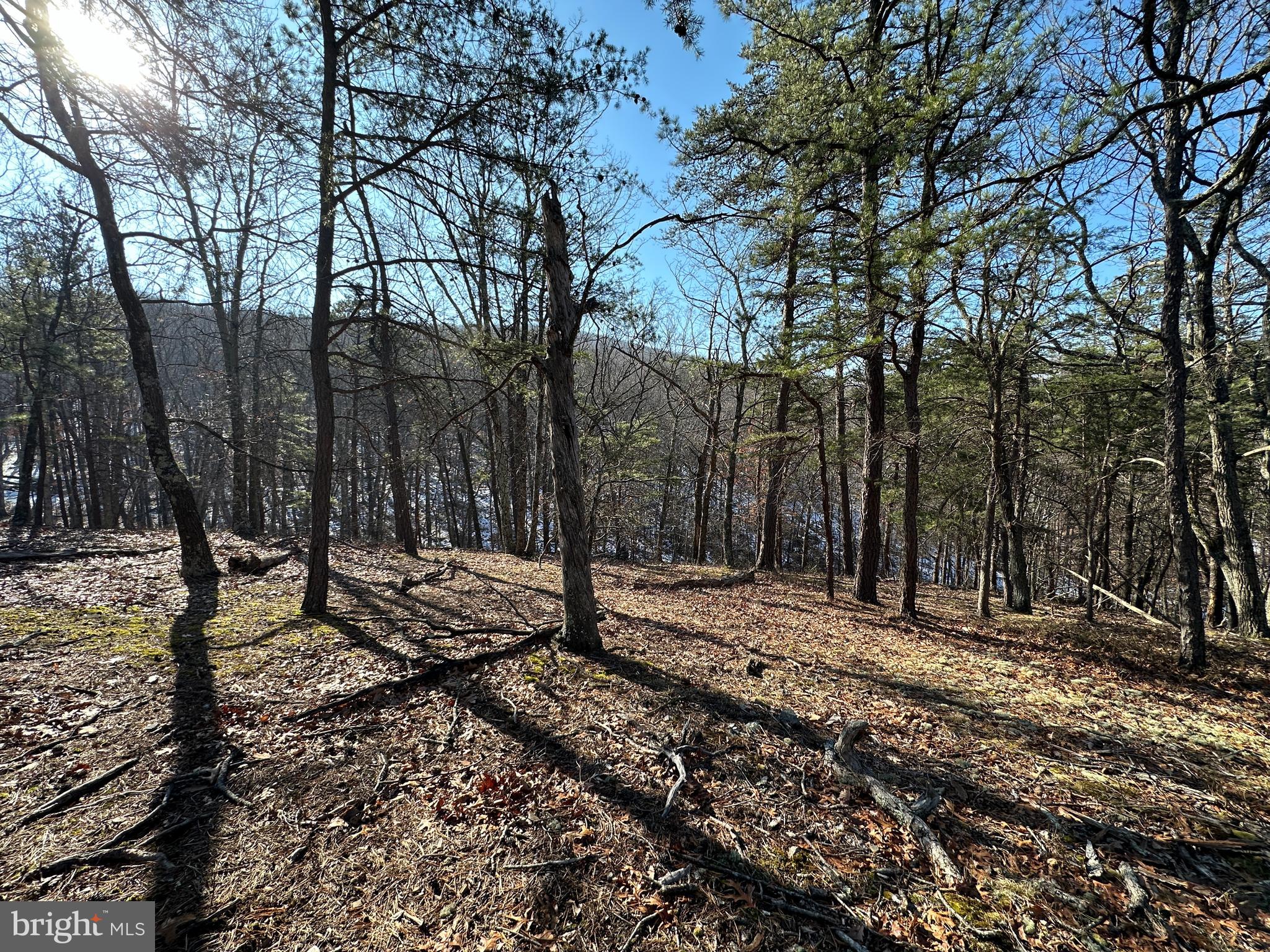 CARDINAL RIDGE ESTATES - Land