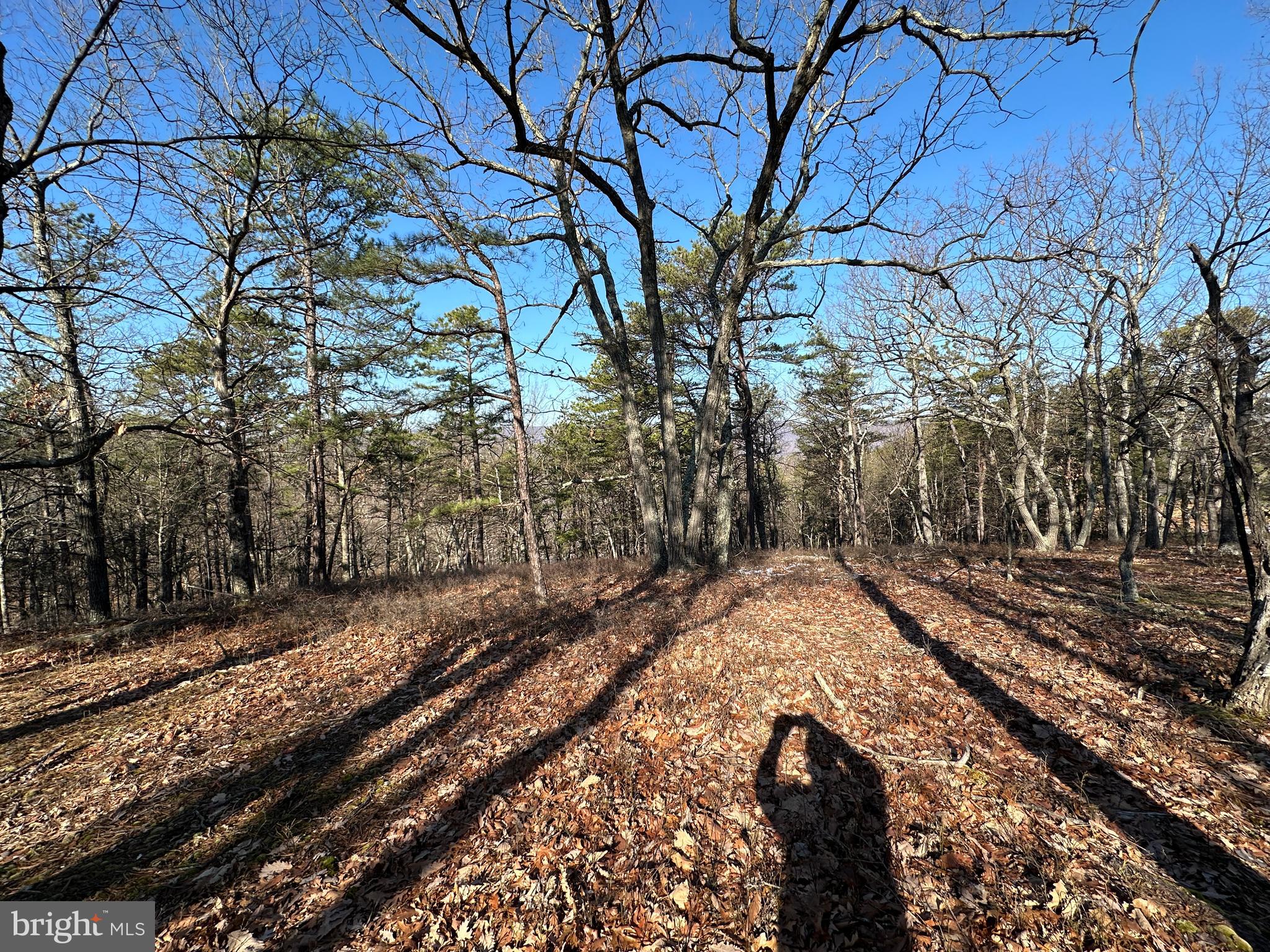 CARDINAL RIDGE ESTATES - Land