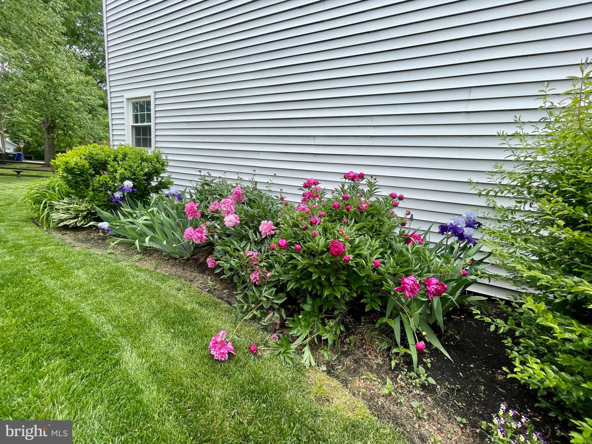 ST CHARLES HAMPSHIRE - Residential