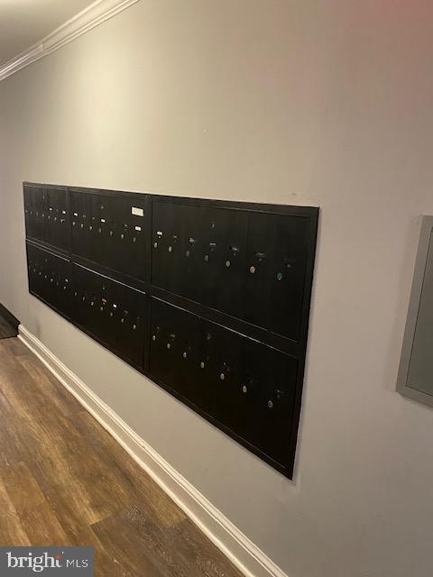 IVYMOUNT COURT - Residential Lease