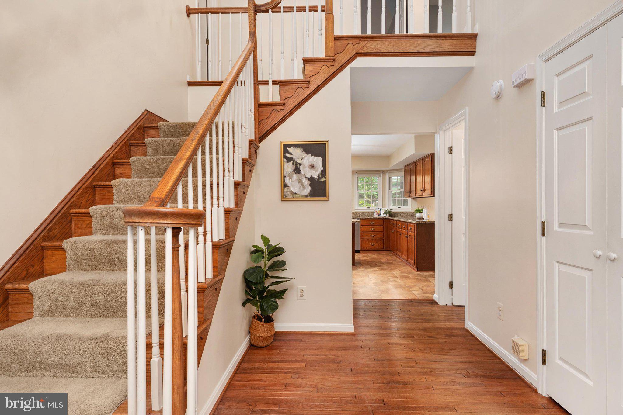 5101 DAWN MARIE COURT