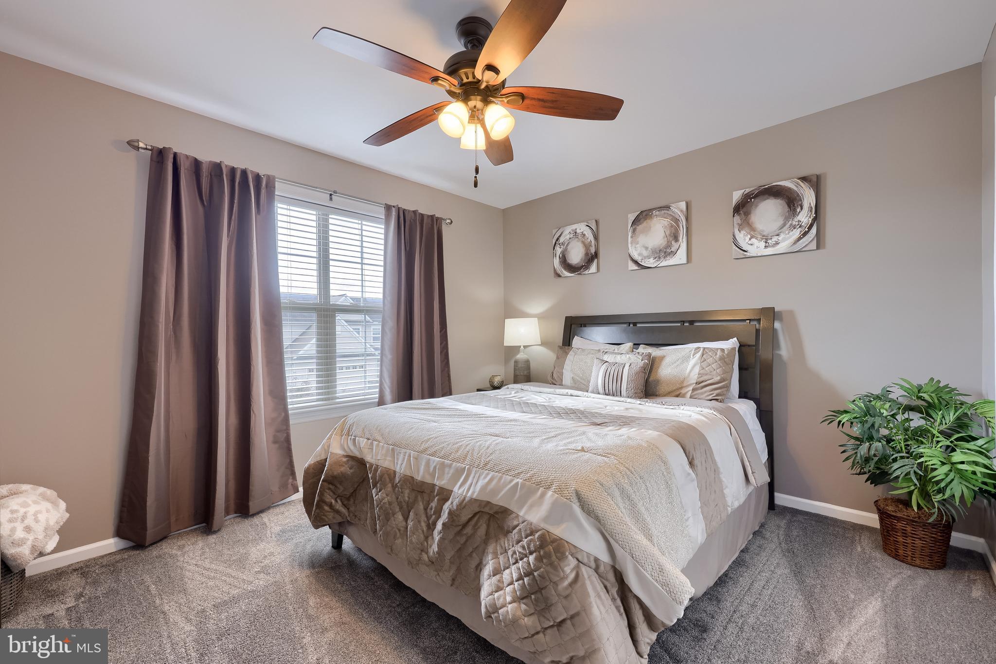 ELM TREE - Residential