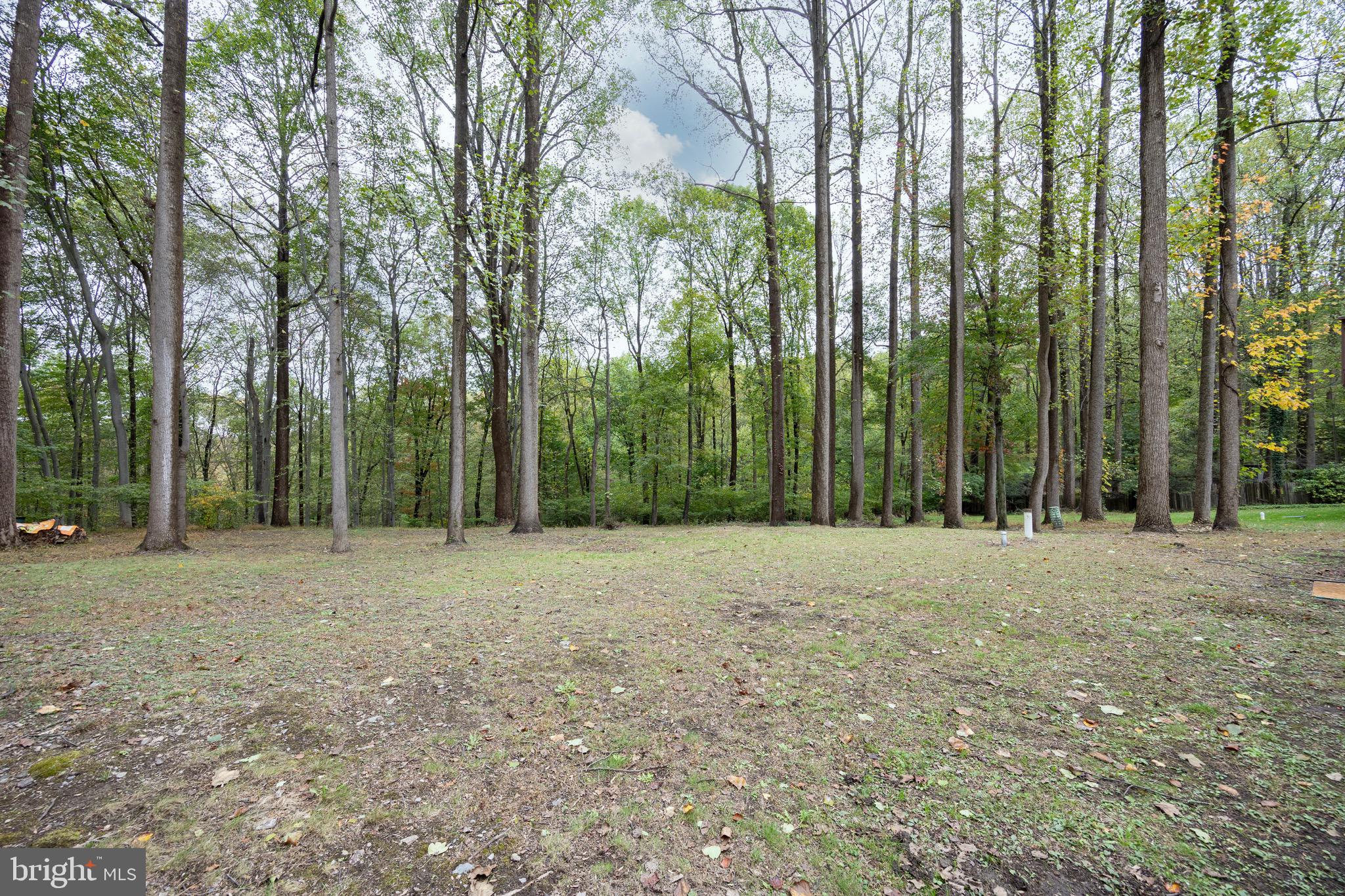 COLONIAL WOODS - Residential