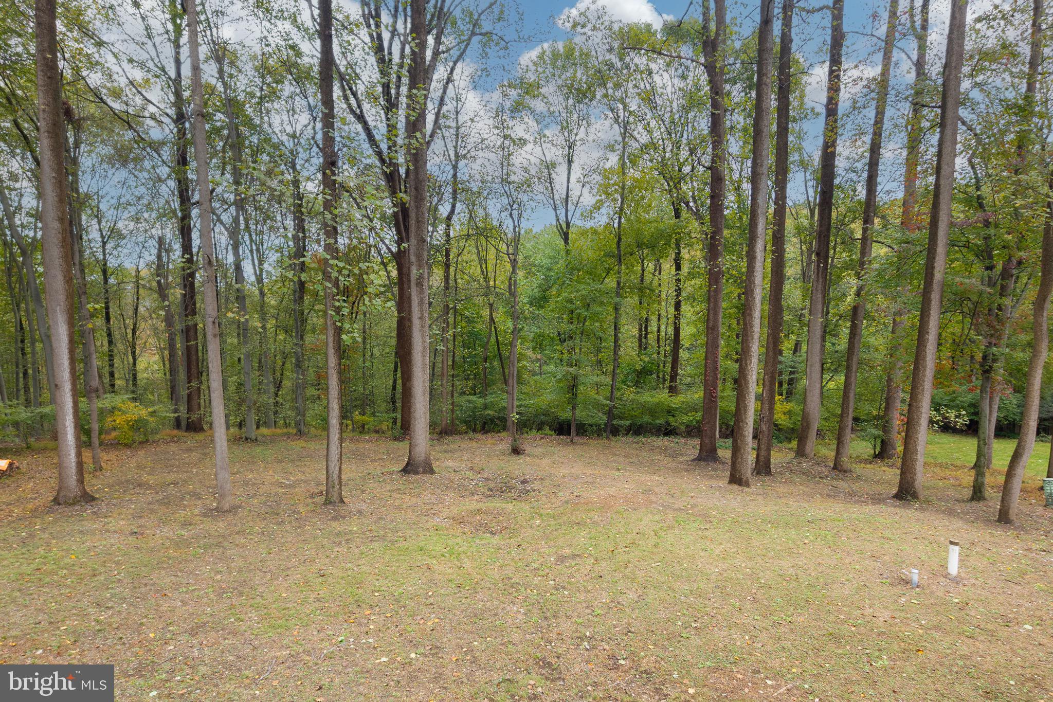 COLONIAL WOODS - Residential