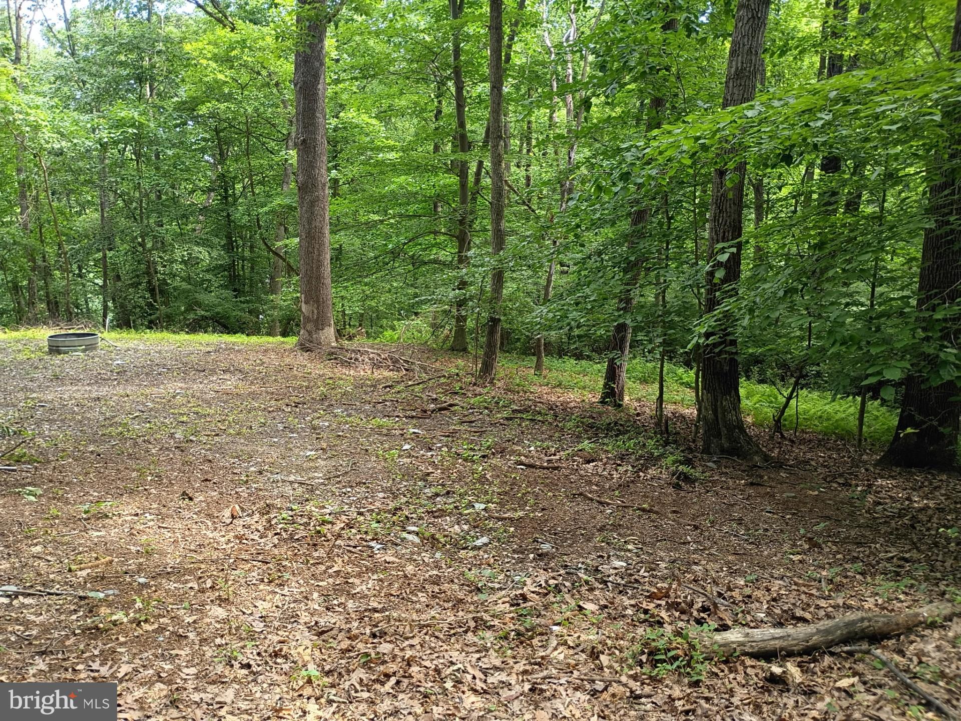 294 OLD RACETRACK ROAD
